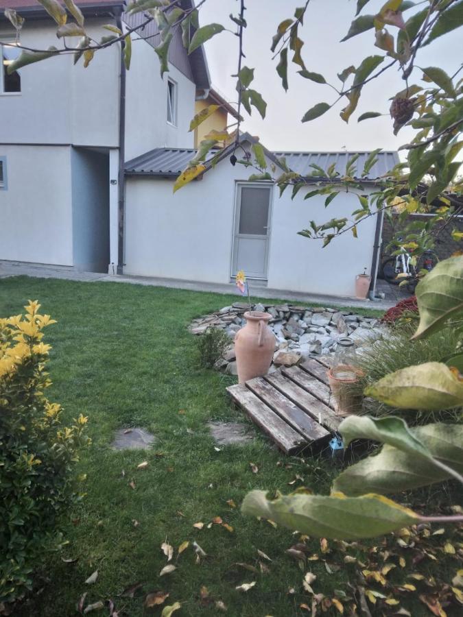Studio Unique Timişoara Exterior foto