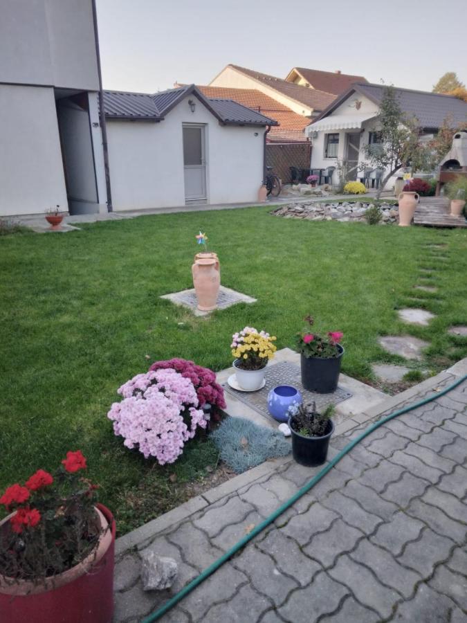 Studio Unique Timişoara Exterior foto